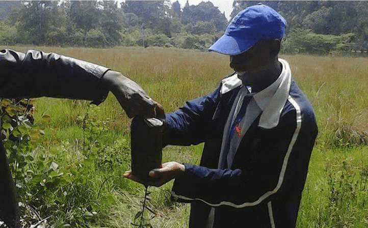 National Environment Day